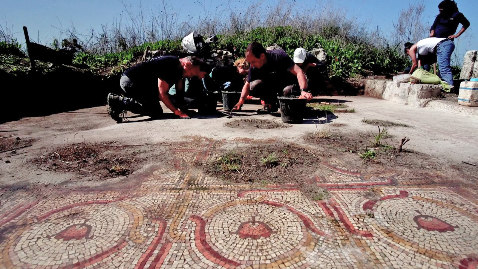 Mosaic Israel flowers