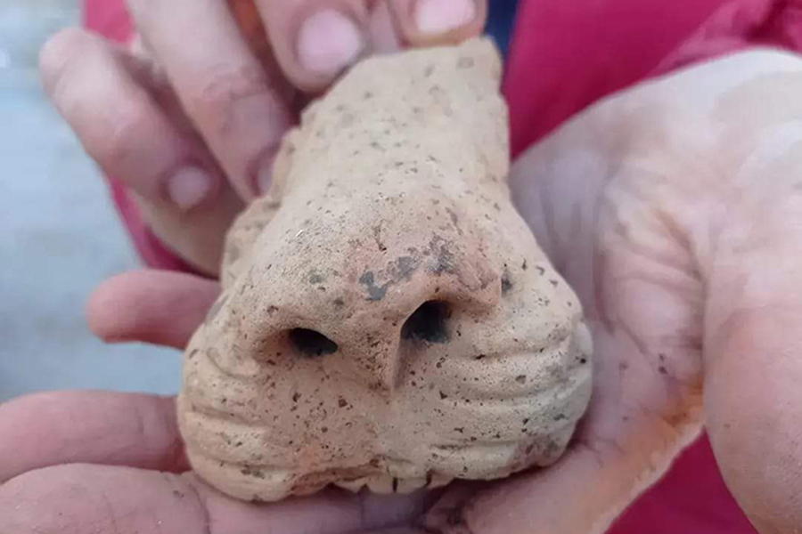 gocciolatoio a forma di naso di leone (Università di Pisa)