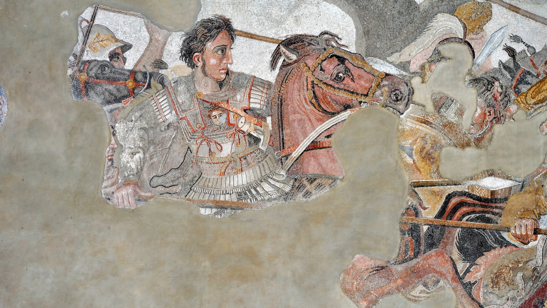 Il volto di Alessandro