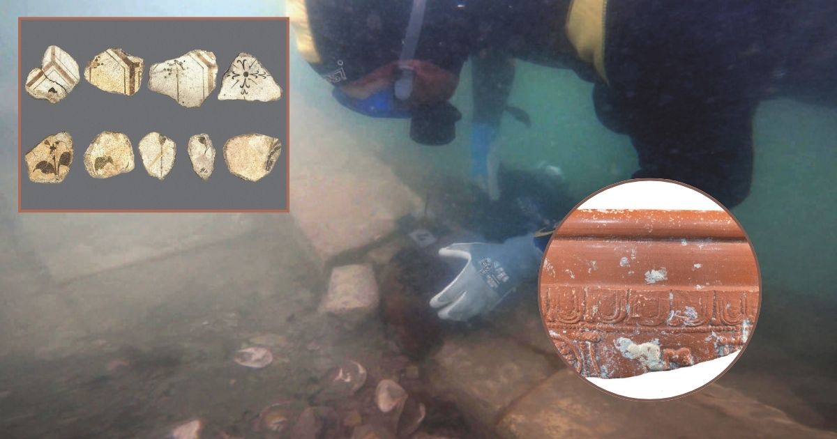 ostriarium Lio Piccolo