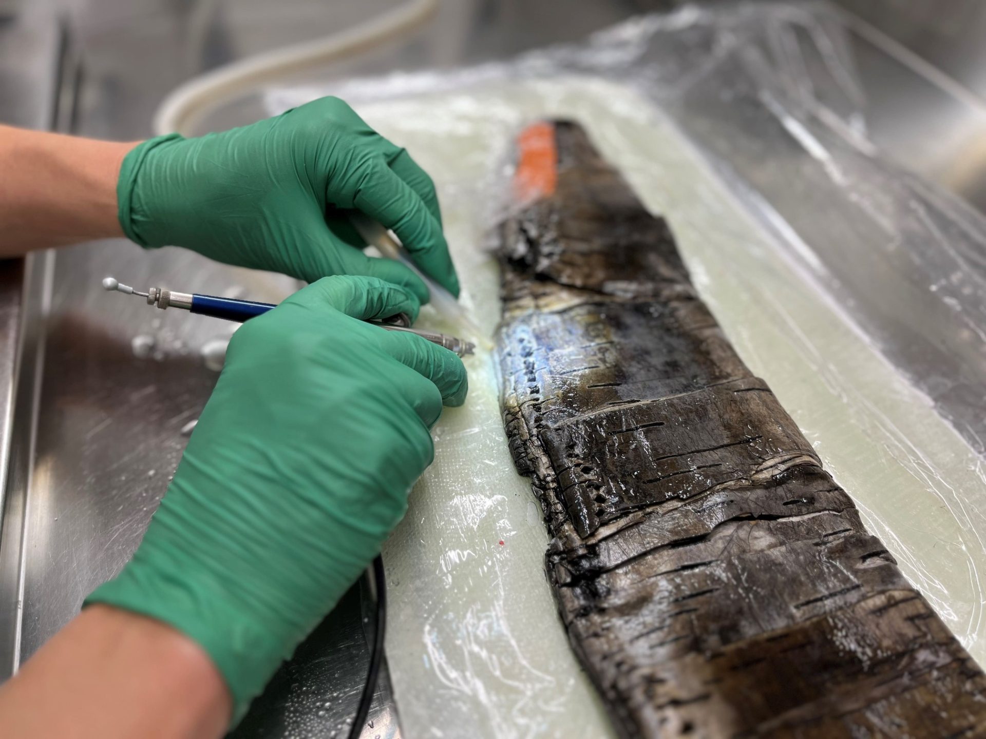 fodero per arco neolitico