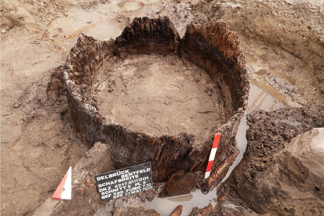 Germania / Nuove scoperte in Vestfalia: un pozzo, resti umani e tracce di vita e insediamenti tra l’età romana e la tarda antichità