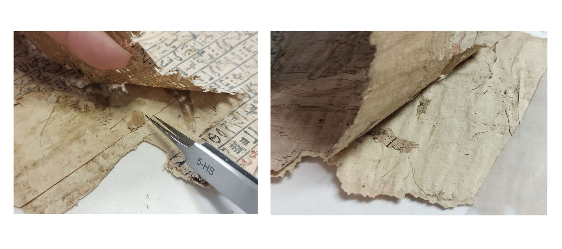 Mostre / Da Castelseprio a Canova: con “Restituzioni 2025” l’Italia dell’arte rinasce a Roma