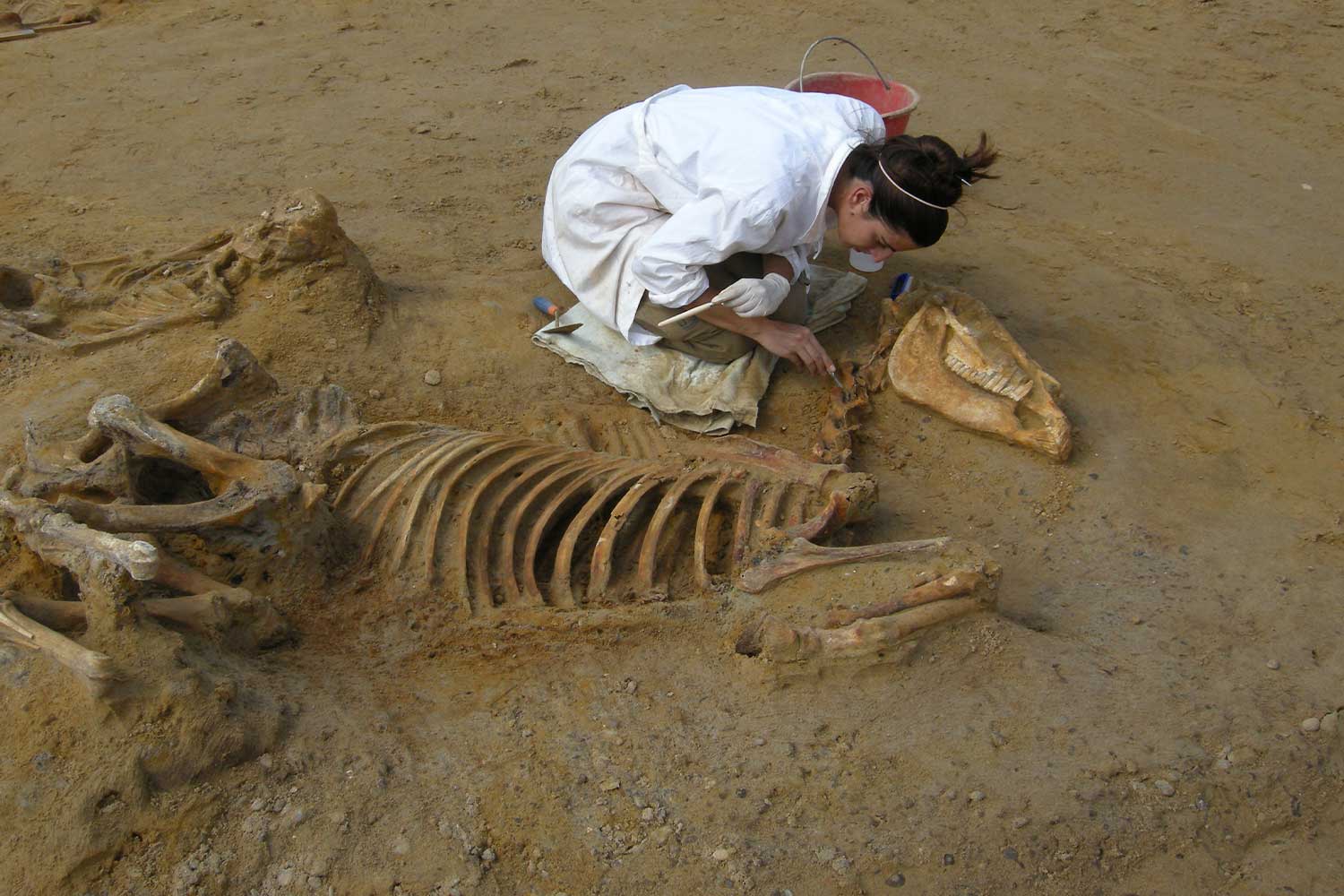 Dal Piemonte alla Sicilia, dall’età del bronzo ai Longobardi: ecco l’Atlante dei ritrovamenti archeologici lungo le linee ferroviarie | SCARICA IL PDF