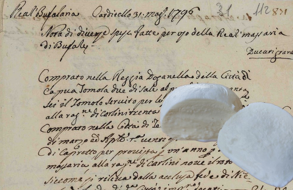 Quando la Dama Bianca sedeva alla tavola del Re: la vera storia della mozzarella di bufala in mostra a Caserta