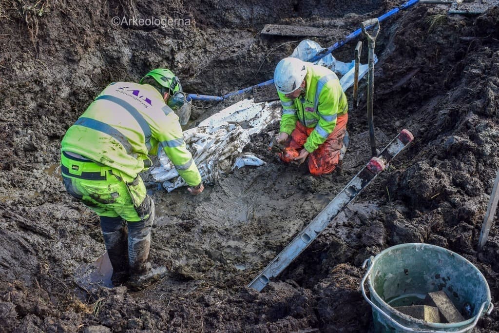 Svezia, il “mistero” del cane nel lago: le ossa riemerse dalla torbiera svelano un rito di 5.000 anni fa