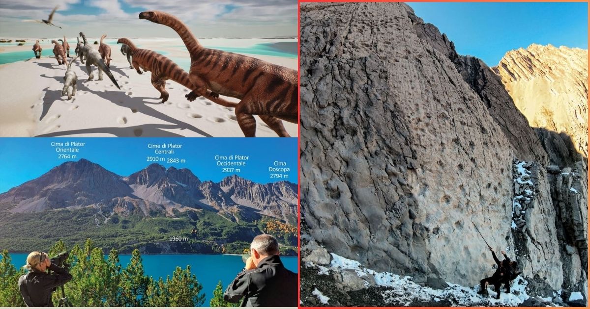Da Parco dello Stelvio a “Triassic Park”: sulle Alpi lombarde riaffiorano migliaia di orme di dinosauri | LE FOTO E I VIDEO