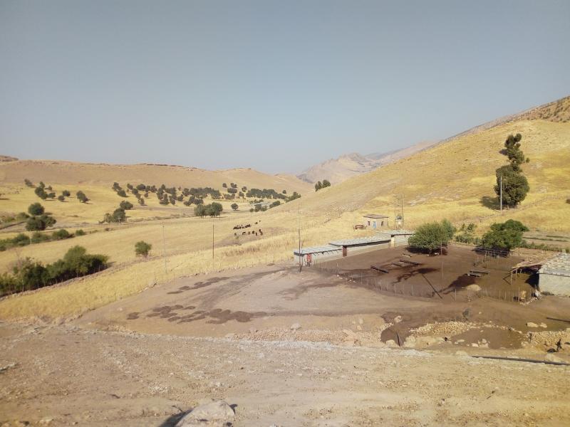 Clima e nascita dell’agricoltura: una stalagmite nella Mezzaluna Fertile “riscrive” la storia del Neolitico