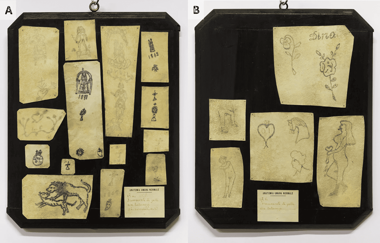 Studi | Le storie nascoste tra antichi frammenti di pelle tatuata svelati dall’Università di Bologna