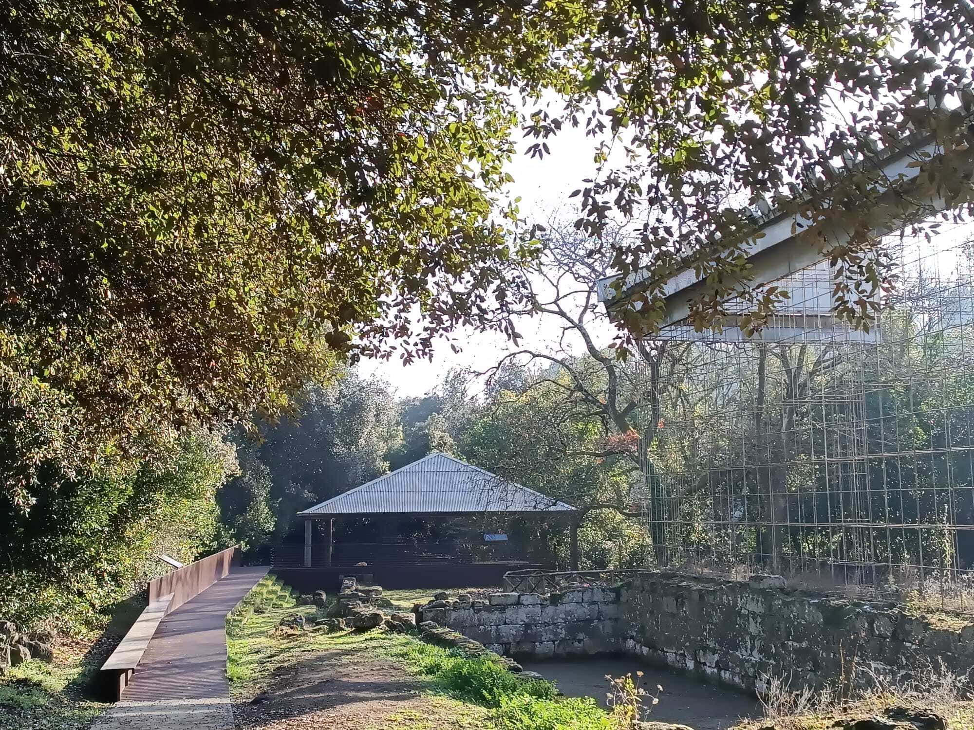 Veio, un nuovo percorso rende accessibile il santuario etrusco di Portonaccio