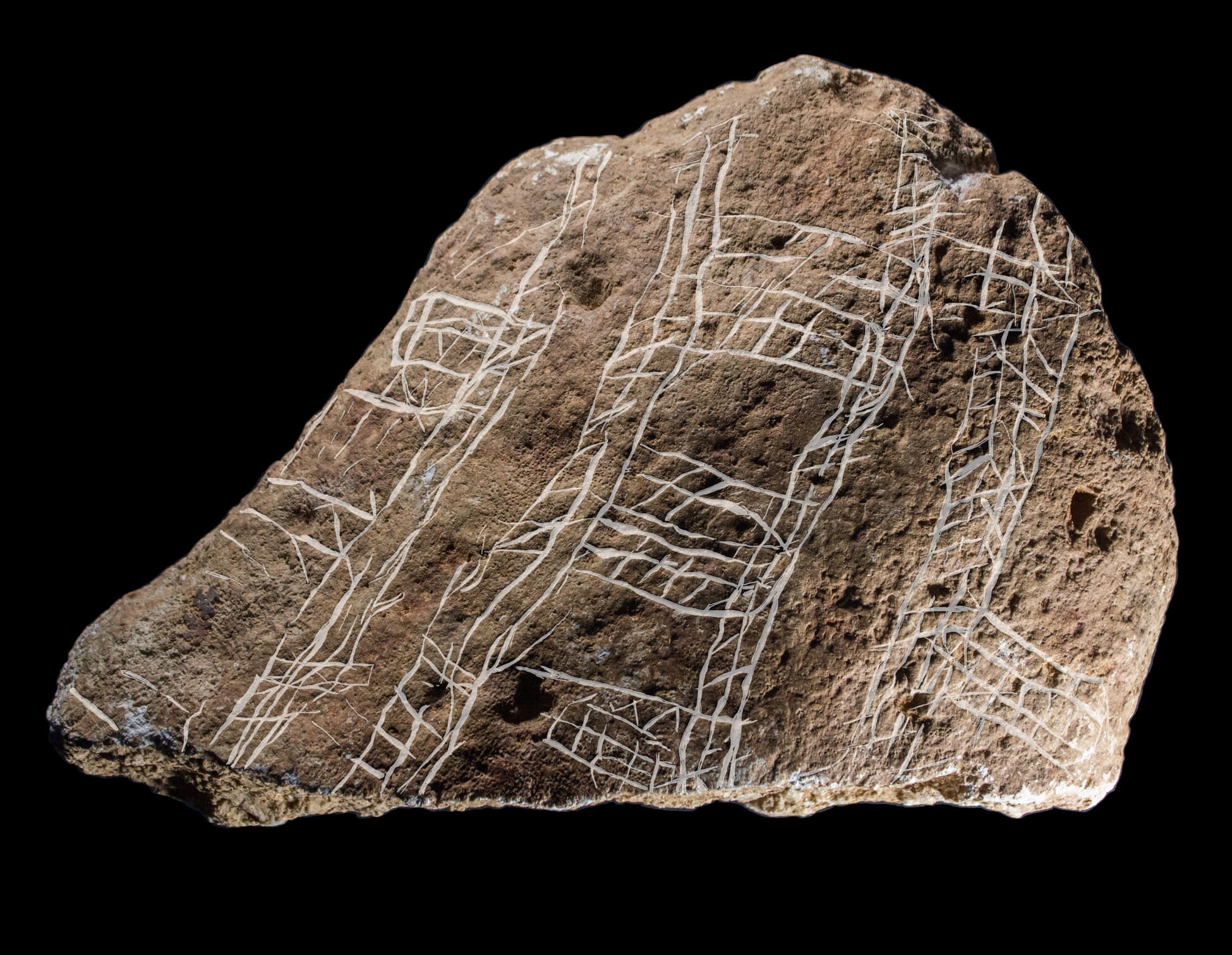 Incisioni di animali, simboli e tracce di pigmenti risalenti a oltre 10.000 anni fa: Grotta Romanelli regala nuove scoperte sull’arte dei cacciatori del Paleolitico