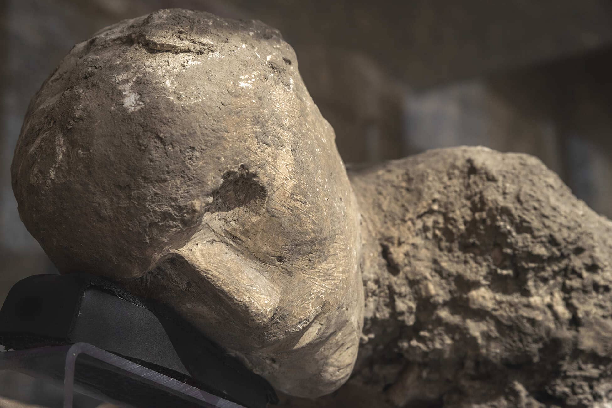 Pompei, un memoriale per le vittime dell’eruzione del 79 d.C.: nuova esposizione permanente alla Palestra Grande