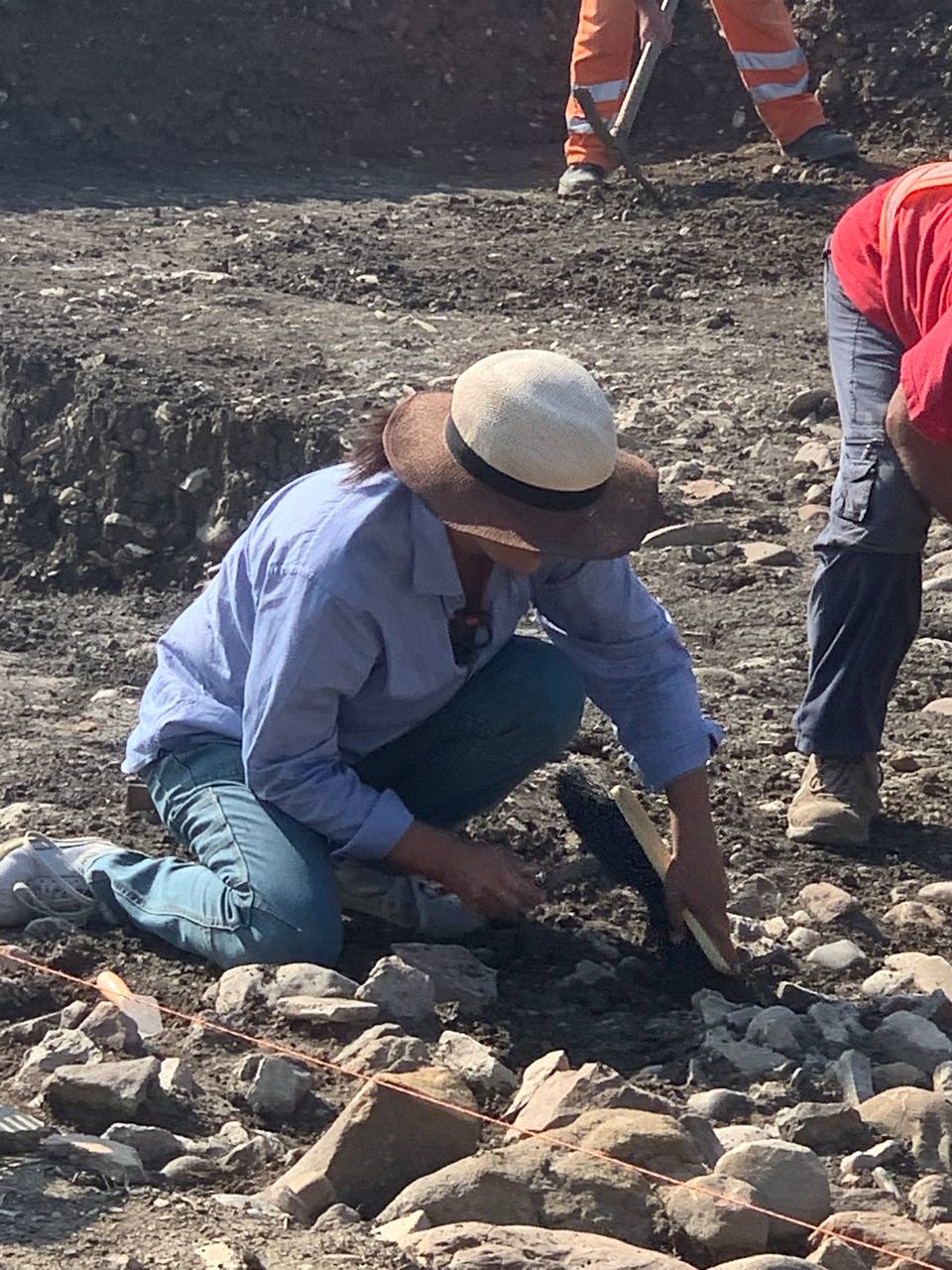 Lavoro, l’Associazione Nazionale Archeologi: “Costretti a dichiarare il falso per lavorare. Cambiare la norma della patente a crediti”