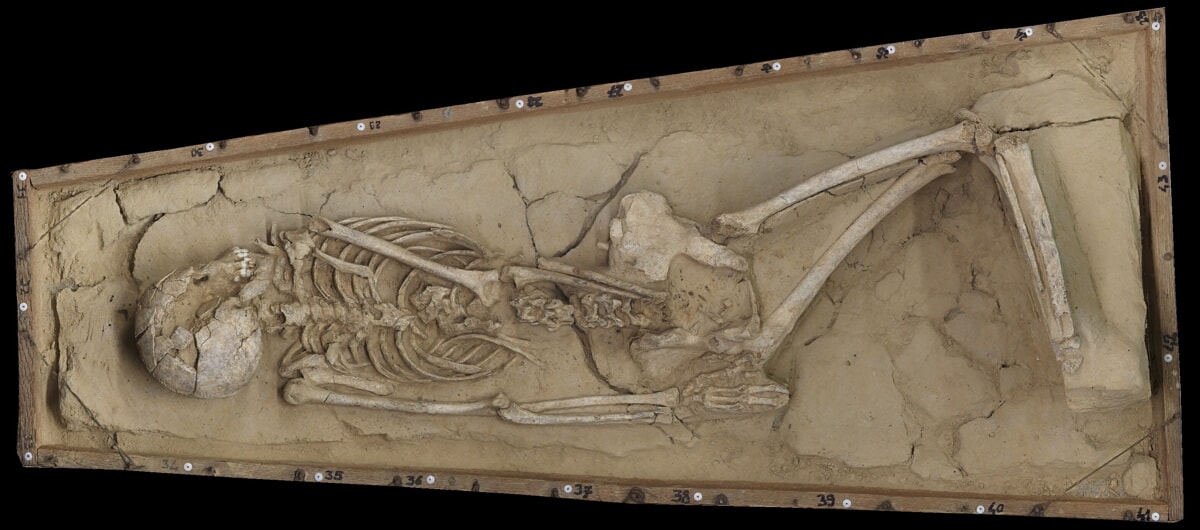 Cosa mangiavano gli abitanti della Padova 2500 anni fa? Lo svela un nuovo studio scientifico