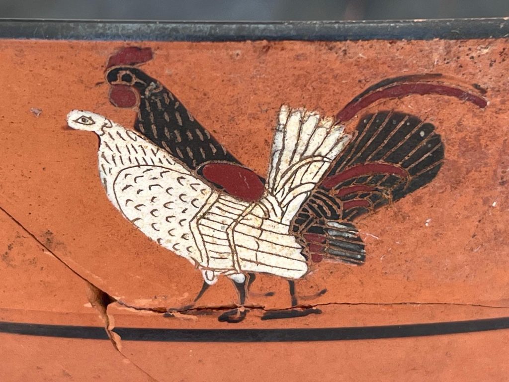 Gragnano, in via dei Pastai spunta una necropoli arcaica con 85 tombe: nuovi reperti raccontano l’Ager Stabianus di 2.500 anni fa