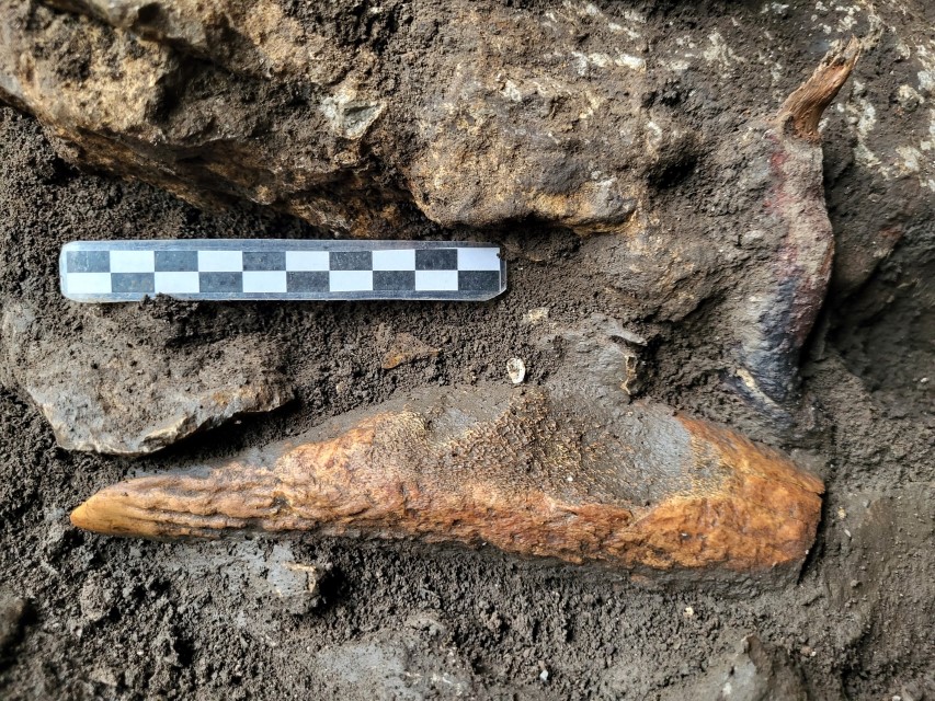 Un’ascia in corno di cervo trovata sul Carso racconta l’ultima stagione dei cacciatori-raccoglitori